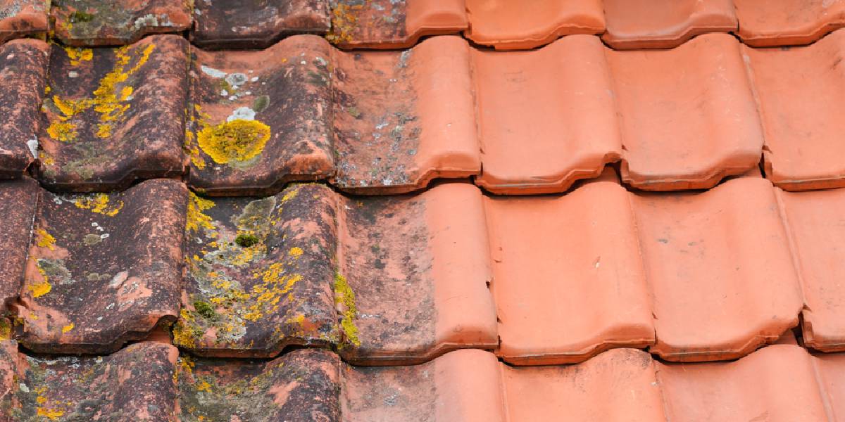 Roofers & builders in New Malden and Surrey.